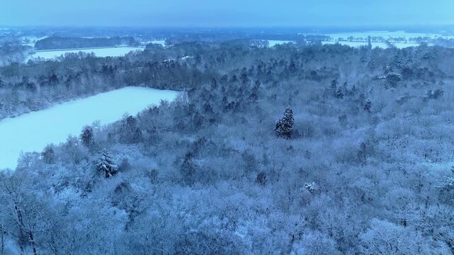High-quality 4K 10-bit aerial drone footage of a beautiful snow-covered forest in the Netherlands filmed early in the morning. Calm winter atmosphere, white trees, and cinematic natural scenery.