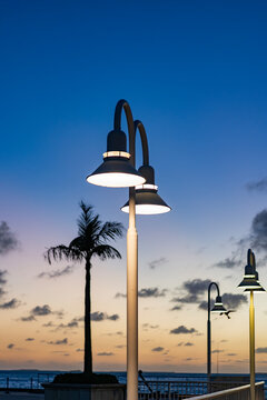Sunset promenade with streetlamp. Summer sunrise. Street lamp lantern on sunset sky. Sunrise with palm tree. Palm and sunrise. High long palm tree in summer vacation with sunset sky