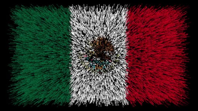 Bandera de M&eacute;xico / Bandera mexicana