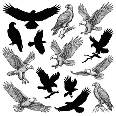 Obraz premium Collection of Diverse Eagle Silhouettes and Illustrations for Design