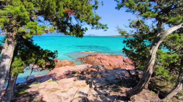 View of juniper trees and coastal rocks at Porto Istana with Mediterranean vegetation and natural seaside landscape in Sardinia
