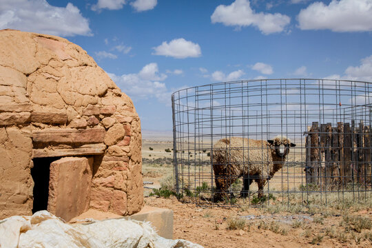 Sheep pen beside traditional horno oven in Coyote Canyon