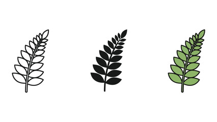 three green fern leaves isolated flat design vector illustration © JubayerStock
