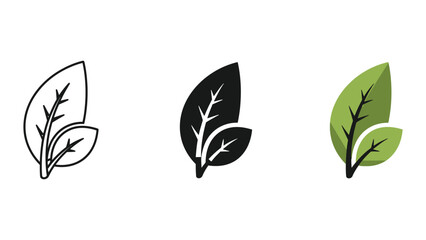 Obraz premium three stylized leaves growth stages flat design vector illustration