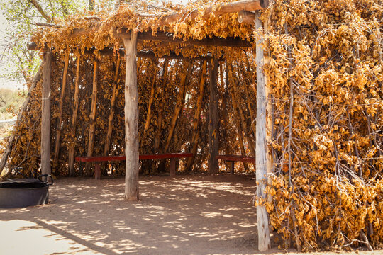 Rustic shade ramada made from branches and natural materials