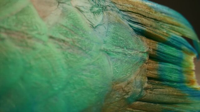 Parrotfish is a type of fish that is very important for the marine ecosystem.
