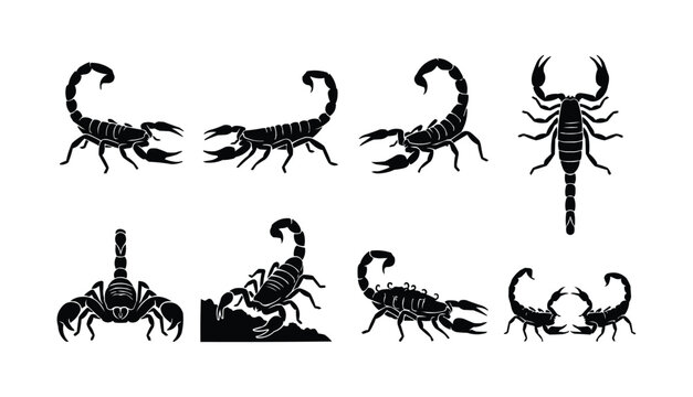 
Set of Eight Black Scorpion Silhouettes in Various Poses Isolated on White Background