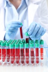 Fototapeta premium Laboratory worker in medical gloves taking test tube with blood sample from rack at white table, closeup