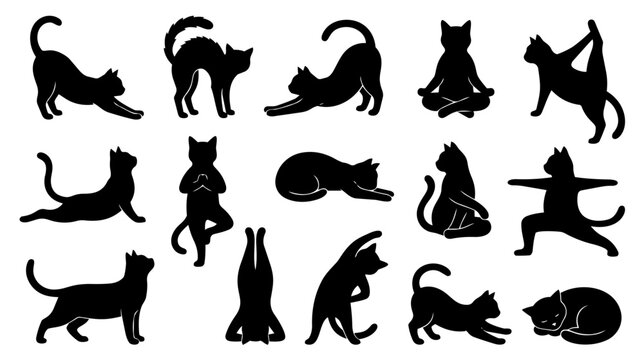 A collection of black cat silhouettes demonstrating various yoga poses, stretches, and relaxed positions, perfect for themes of pet wellness, flexibility, and playful animal fitness.