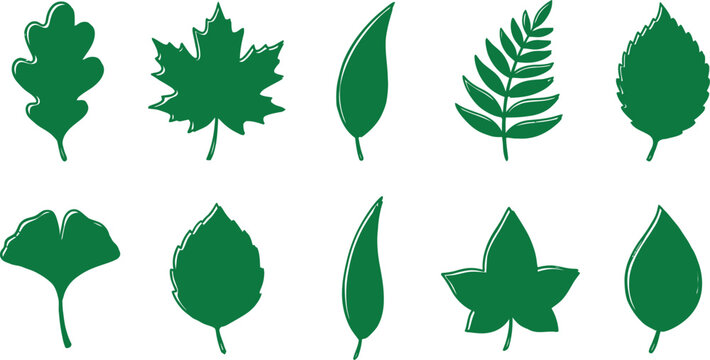 Variety of green leaf silhouettes isolated on white background botanical illustration