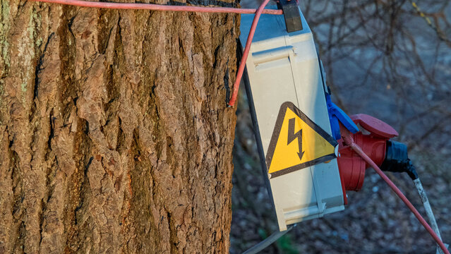 Electrical power box on tree trunk