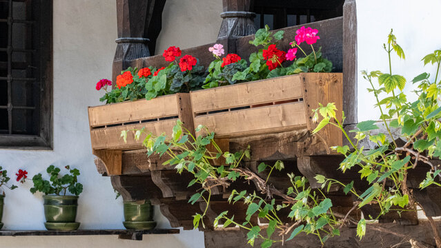 Wooden window boxes with red geraniums on a balcony
