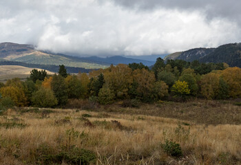Fototapeta premium Autumn, fragments of a mountain plateau in the morning, cloudy weather, dried vegetation and nature walks