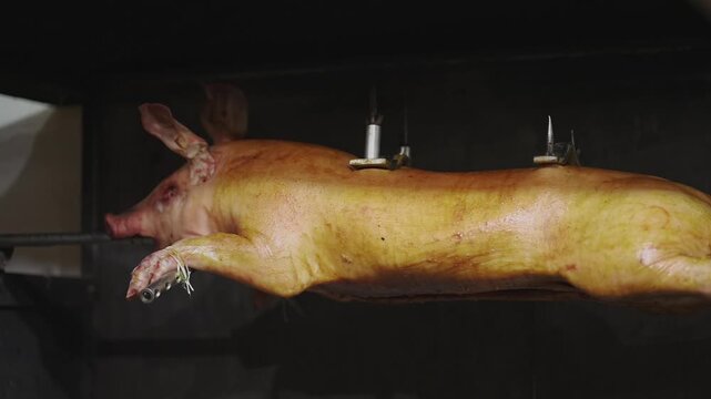 Whole roasted pig on spit prepared at Mittelalterlicher Weihnachtsmarkt, Muenchner Adventsspektakel in Munich. Festive medieval setting and traditional Bavarian cooking, authentic winter market scene