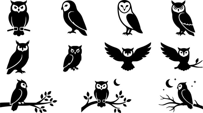 set of vector various owl, owl sitting on a tree branch silhouettes