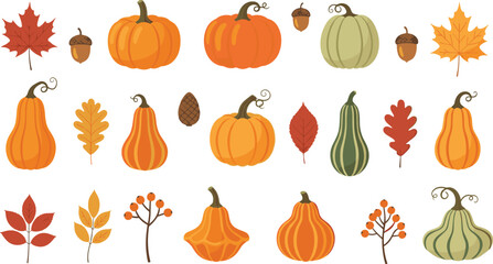 Autumn Harvest Vector Illustration Set Featuring Pumpkins Squashes Fall Leaves Acorns and Berries for Thanksgiving and Seasonal Holiday Designs. © Ratna