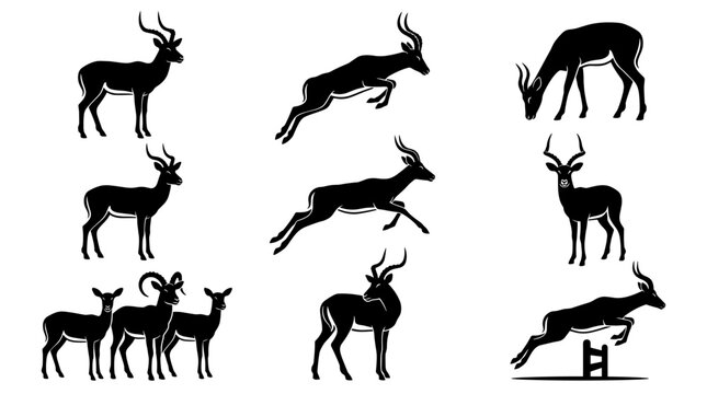 Black and white vector silhouette set of Impala