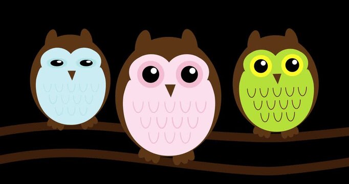 Three cute cartoon owls sit side by side on a branch. Each owl has unique color: blue, pink, and green. They all look happy, curious, and alert. Owls have big eyes and soft feathers