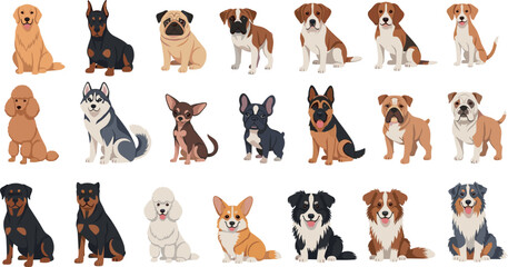 Cute Dog Breeds Big Collection Featuring Golden Retriever, Husky, Poodle, Bulldog, Rottweiler, and More in Flat Cartoon Vector Illustration Style © MdOazad