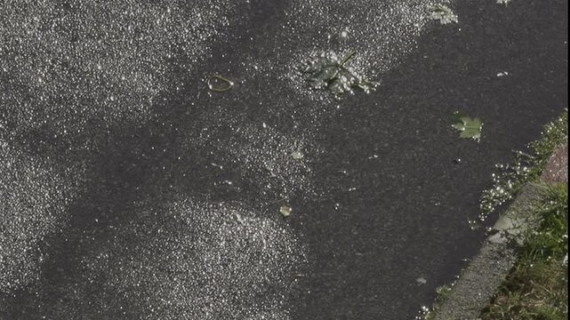 rain drops on asphalt