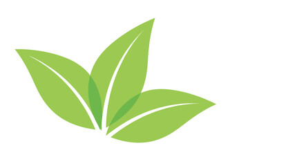 Fototapeta premium Three fresh green leaves arranged in a fan shape with a translucent effect symbolizing nature and growth in a minimalist vector design.