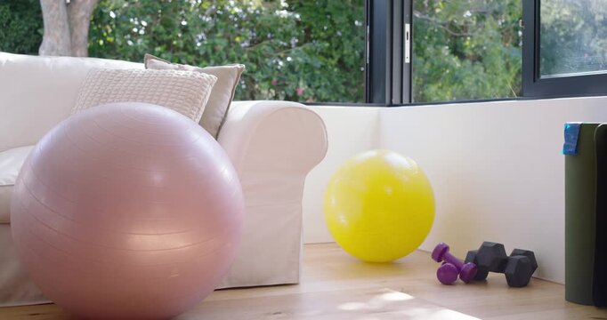 Pink ball is rolling left after nudge toward corner on wood floor beside couch, dumbbells nearby