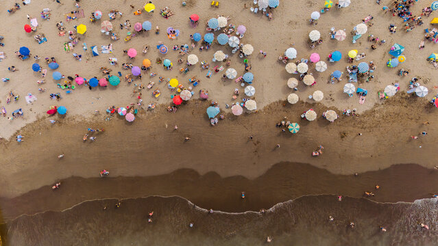 Top down aerial drone view of crowded beach with colorful umbrellas parasols and people sunbathing on deck chairs at sandy shore during summer in Mar del Plata, Argentina