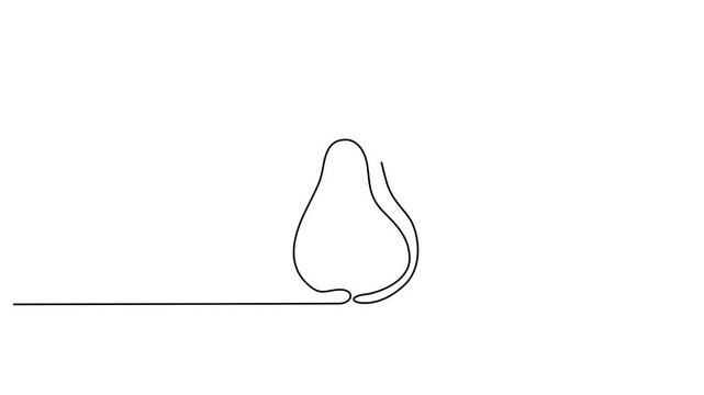 Minimalist pear icon, line art fruit, simple vector illustration, black and white design element video