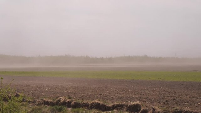 A strong wind raises dust in the field.