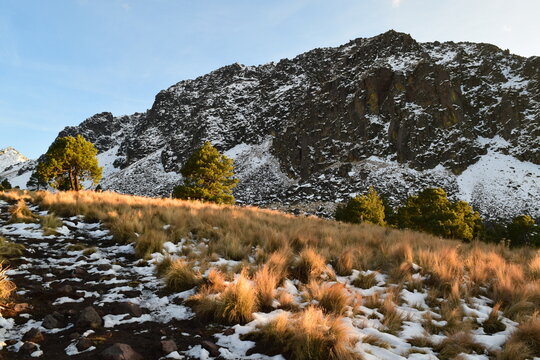 High altitude alpine landscape at Xinantecatl volcano, Mexico ca&ntilde;ada del oso 