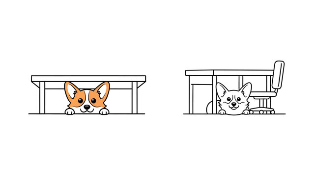 Corgi and cat hiding under table.