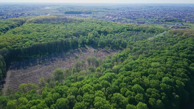 High-angle drone footage showing a cleared forest area with remaining stumps and logs. The stark contrast between standing trees and the barren, logged land highlights environmental impact and