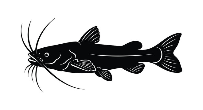 Black silhouette of a catfish with long whiskers isolated on a white background silhouette high quality professional detailed modern elegant stylish