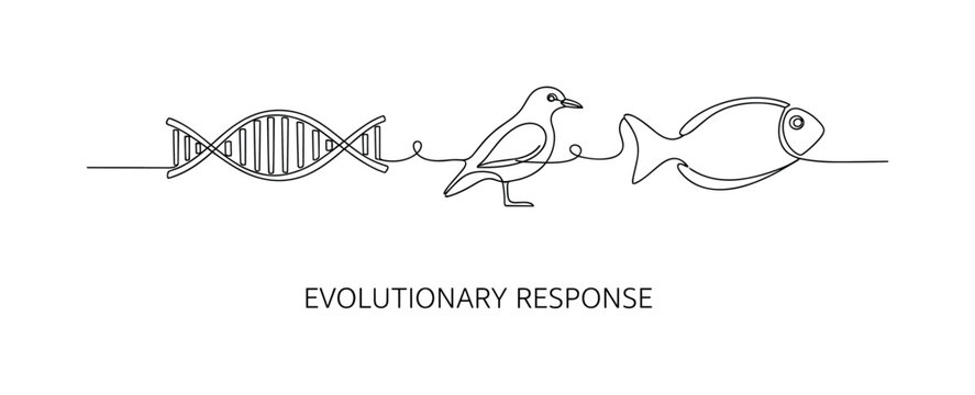 "Evolutionary Response". Minimalistic one-line drawing transforming sequence from DNA helix into adapted organism form, continuous single black line on white