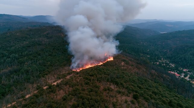 Destructive wildfire spreads through a dry woodland environment as seen from a high vantage point.