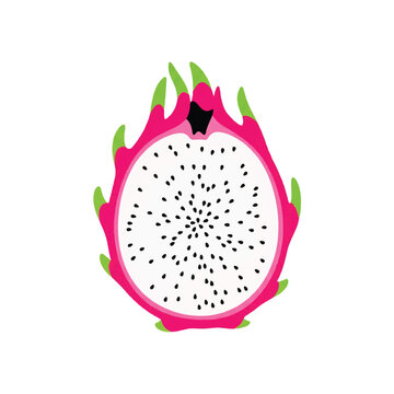 Stylized dragon fruit cut in half, bright pink outer skin, white inner flesh with distinct black seed dots, exotic tropical aesthetic, high contrast color palette, minimalist flat vector