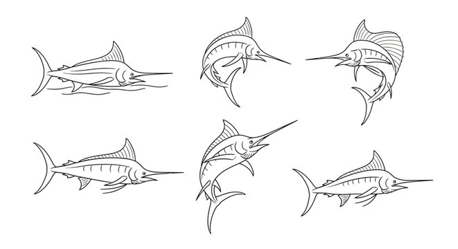 Marlin Fish Set, Hand-Drawn Sketch Collection for Fishing Design