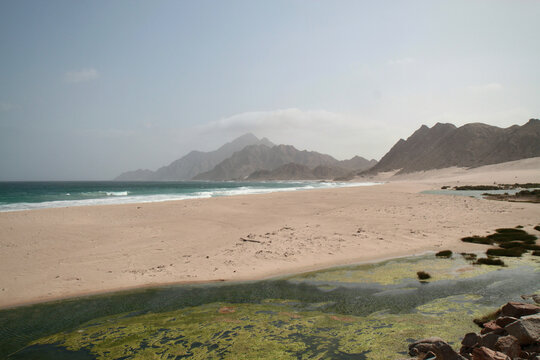 Coastal landscape near Khor Rori in Dhofar, Oman, featuring tidal pools, green algae, sandy beach and rugged mountains in the background. A serene and natural scene from the southern coast of Oman.