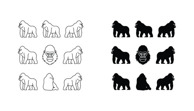 Collection of gorilla icons showing standing walking and sitting poses in outline and solid black