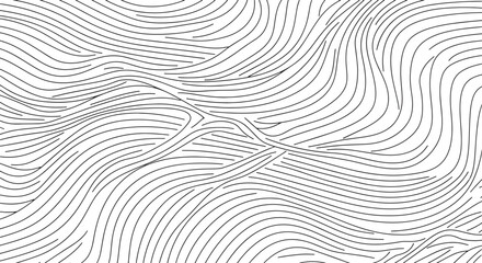 Fototapeta premium Black wavy lines on white background, abstract pattern
