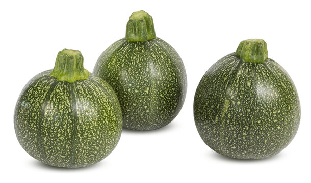 Courgettes rondes