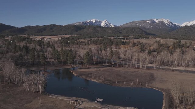 Elk Heard Trapper Peak