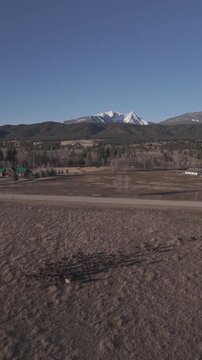 Elk Heard Trapper Peak