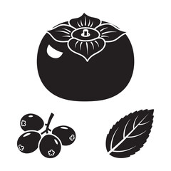 Persimmon fruit berries and mint leaf vector silhouette © MAHEDI