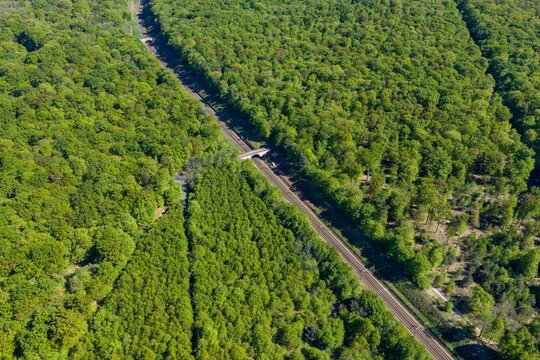 Aerial view of the Forest of Fontainebleau with a railway line cutting through dense green trees and a small stone bridge in Fontainebleau, Ile-de-France, France.