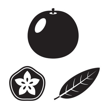 Caimito fruit star apple slice and leaf silhouette vector