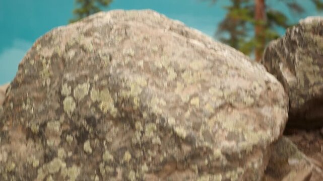 Golden-mantled Ground Squirrel near Moraine Lake against the Valley of the Ten Peaks, Banff National Park, Canada. Road trip in Canada. Rocky mountains. 4k.