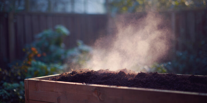 Steaming soil in wooden garden bed
