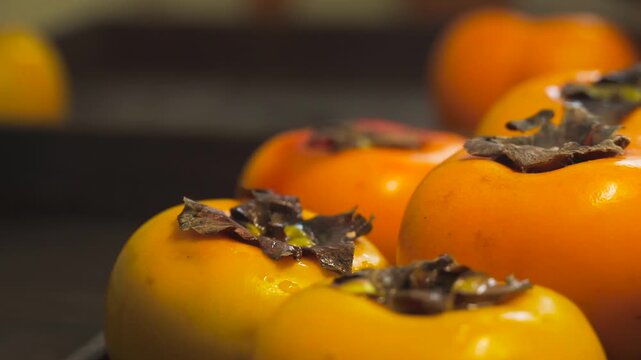Ripe Orange Persimmons on Dark Rustic Background