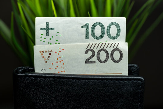 polish zloty banknotes in black leather wallet with green plants background. business finance and personal savings concept featuring 100 and 200 pln bills